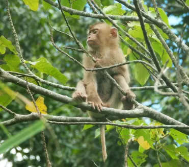 Thân thiện với tự nhiên